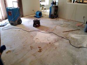 Water Damage Restoration in Solms, Texas